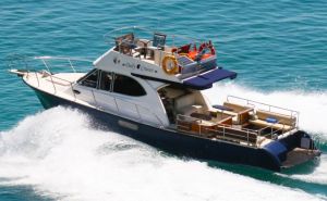 Nautilus Daily Cruises