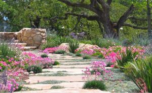 Mediterranean Garden Society